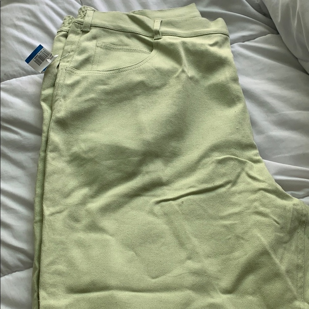A pair or light green vintage Diane Gilman pants